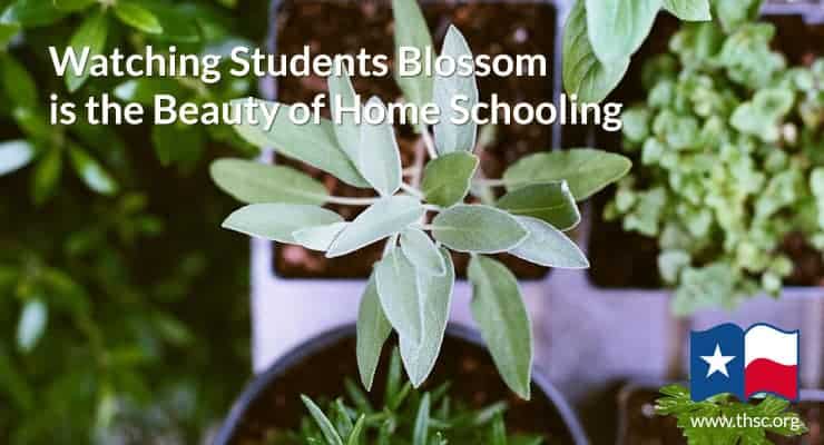 Watching Students Blossom is the Beauty of Home Schooling