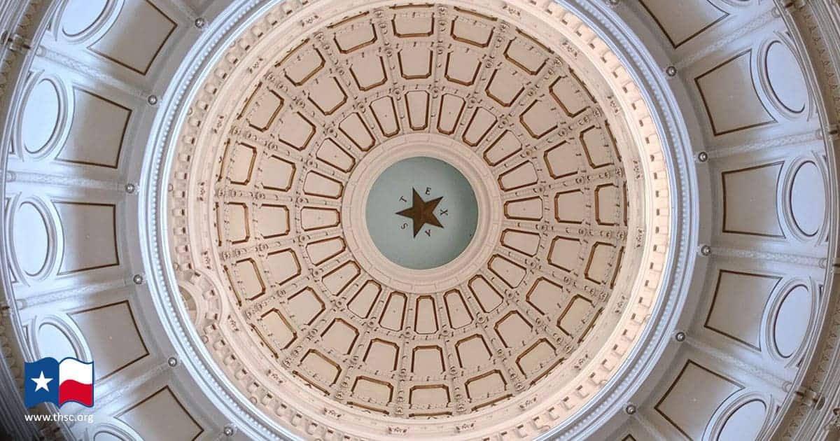 THSC Passes Historic CPS Reform During 85th Texas Legislative Session