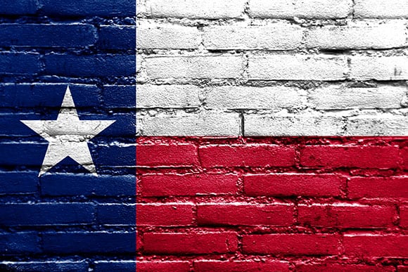 The Lone Star Agenda: Energizing Pro-Family Voters